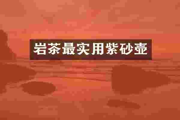 岩茶最实用紫砂壶