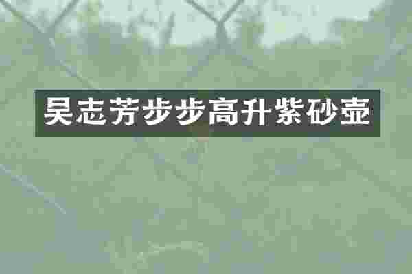吴志芳步步高升紫砂壶
