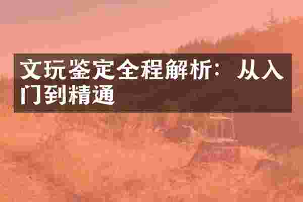 文玩鉴定全程解析：从入门到精通