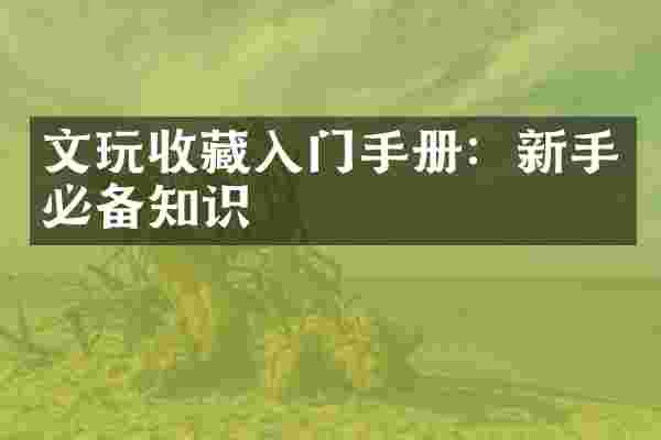 文玩收藏入门手册：新手必备知识