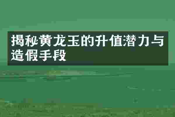 揭秘黄龙玉的升值潜力与造假手段