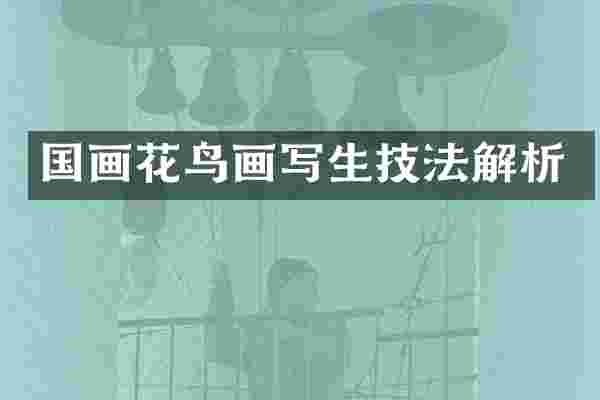 国画花鸟画写生技法解析