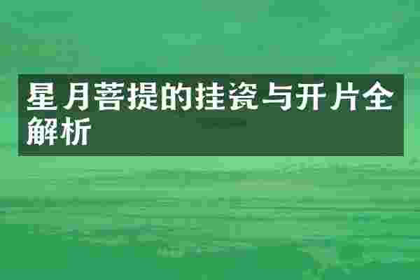 星月菩提的挂瓷与开片全解析