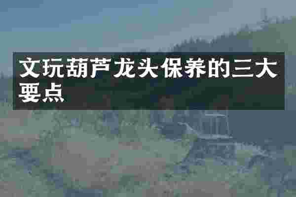 文玩葫芦龙头保养的三大要点
