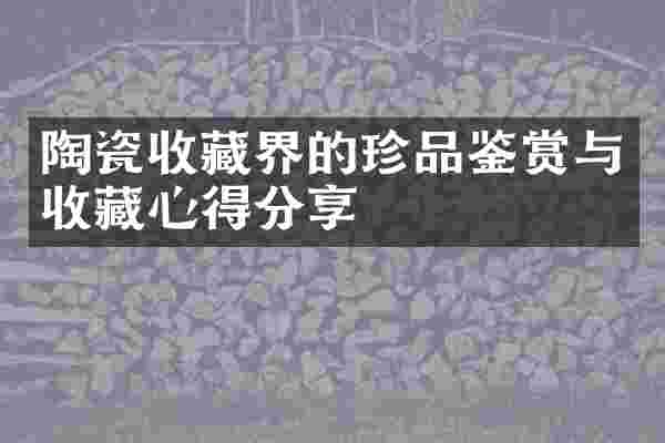 陶瓷收藏界的珍品鉴赏与收藏心得分享
