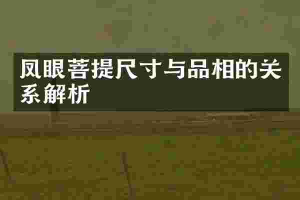 凤眼菩提尺寸与品相的关系解析