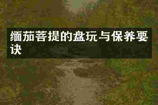 缅茄菩提的盘玩与保养要诀