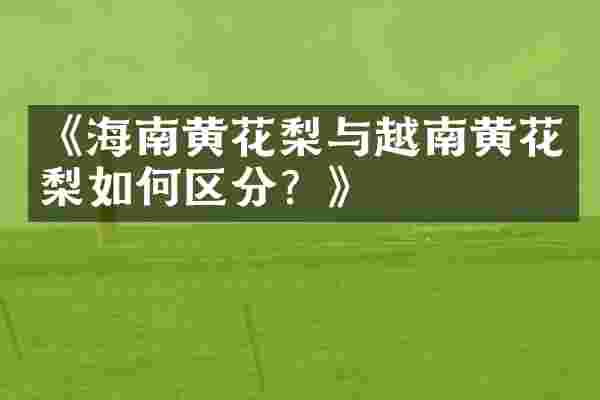 《海南黄花梨与越南黄花梨如何区分？》
