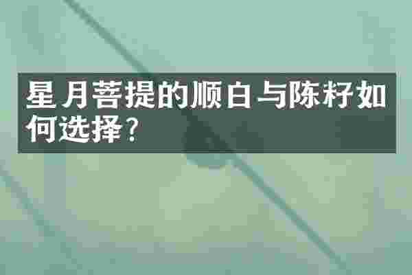 星月菩提的顺白与陈籽如何选择？