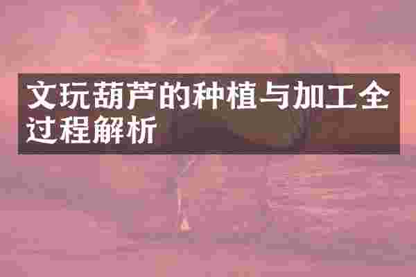 文玩葫芦的种植与加工全过程解析