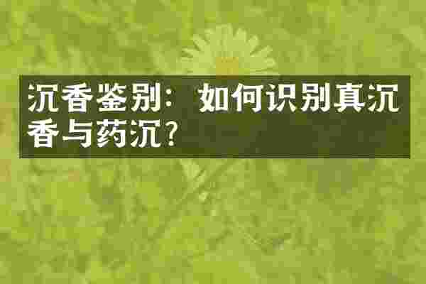 沉香鉴别：如何识别真沉香与药沉？