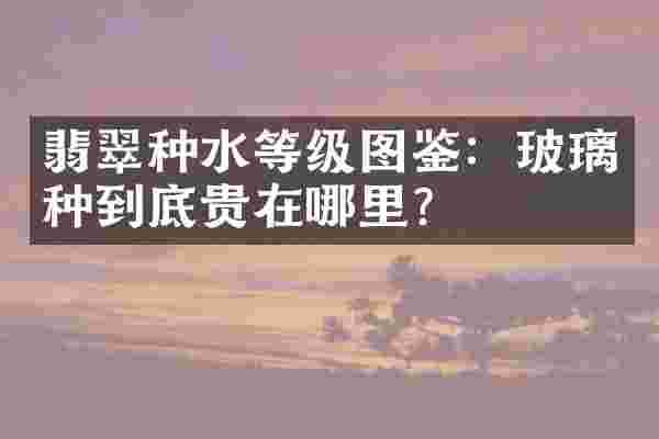 翡翠种水等级图鉴：玻璃种到底贵在哪里？