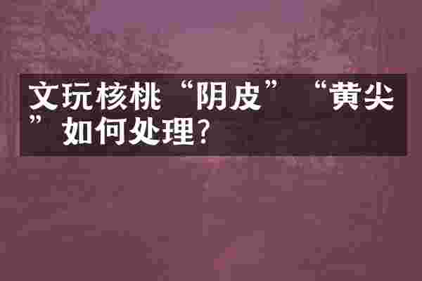 文玩核桃“阴皮”“黄尖”如何处理？