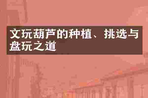 文玩葫芦的种植、挑选与盘玩之道