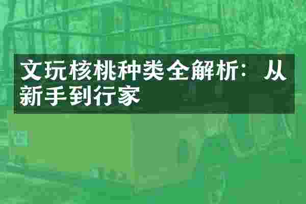 文玩核桃种类全解析：从新手到行家
