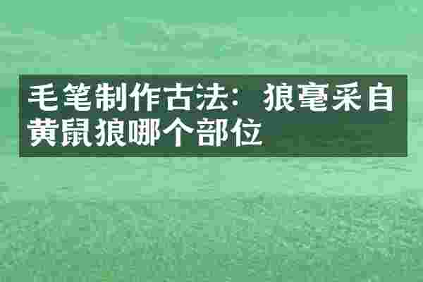 毛笔制作古法：狼毫采自黄鼠狼哪个部位