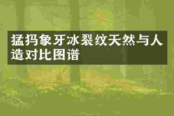 猛犸象牙冰裂纹天然与人造对比图谱