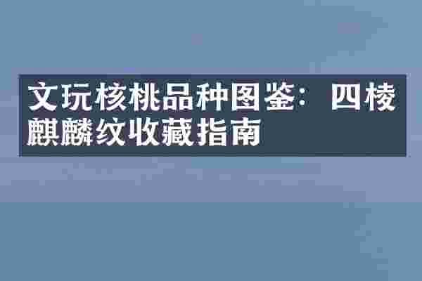 文玩核桃品种图鉴：四棱麒麟纹收藏指南