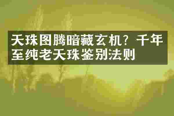 天珠图腾暗藏玄机？千年至纯老天珠鉴别法则