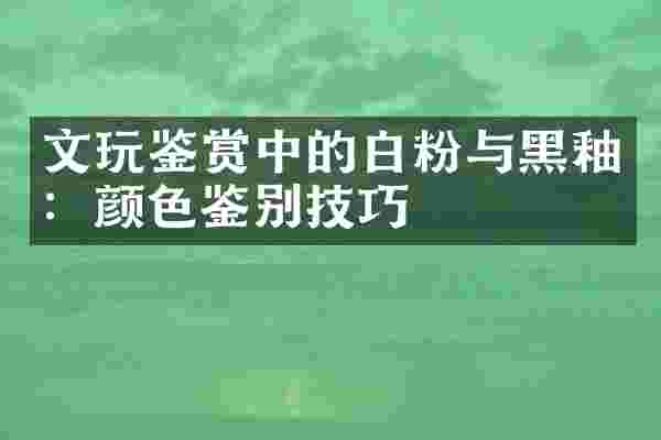 文玩鉴赏中的白粉与黑釉：颜色鉴别技巧
