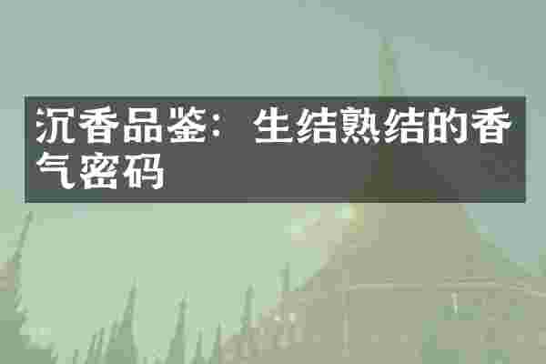 沉香品鉴：生结熟结的香气密码