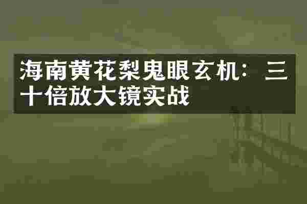 海南黄花梨鬼眼玄机：三十倍放大镜实战