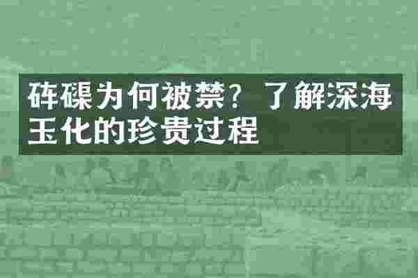 砗磲为何被禁？了解深海玉化的珍贵过程