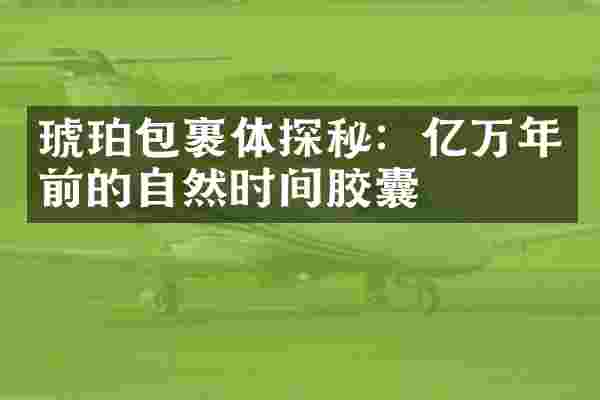 琥珀包裹体探秘：亿万年前的自然时间胶囊