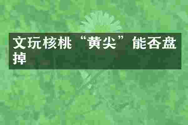 文玩核桃&ldquo;黄尖&rdquo;能否盘掉