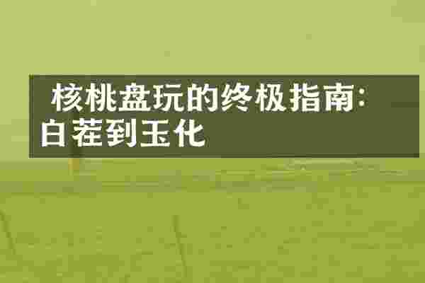 核桃盘玩的终极指南：从白茬到玉化