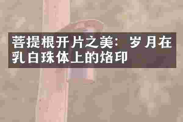 菩提根开片之美：岁月在乳白珠体上的烙印