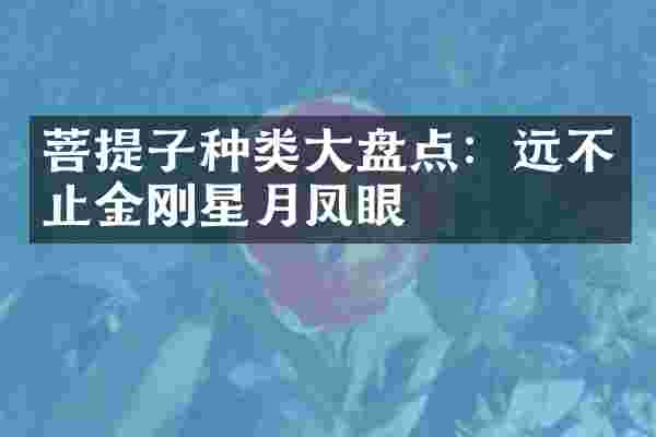 菩提子种类大盘点：远不止金刚星月凤眼