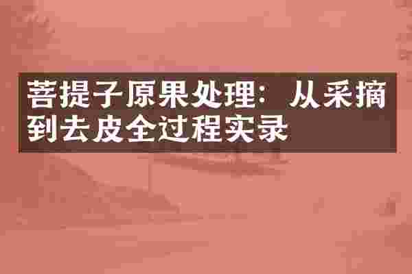 菩提子原果处理：从采摘到去皮全过程实录