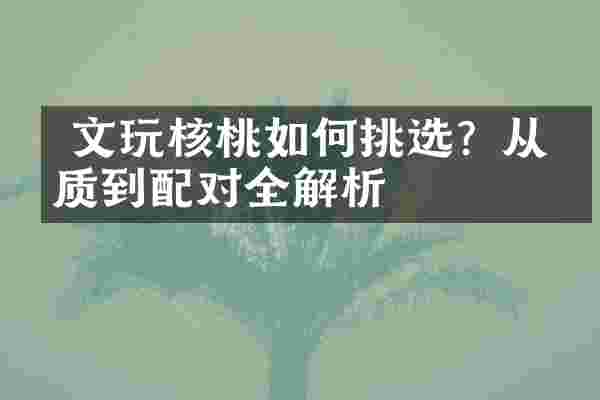  文玩核桃如何挑选？从皮质到配对全解析