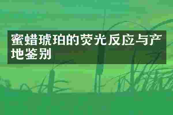 蜜蜡琥珀的荧光反应与产地鉴别