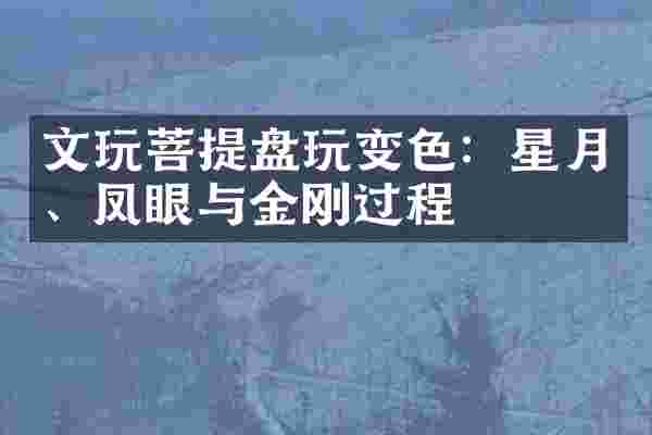 文玩菩提盘玩变色:星月、凤眼与金刚过程