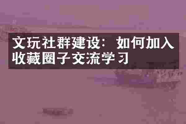 文玩社群建设：如何加入收藏圈子交流学习