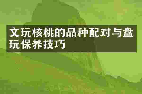 文玩核桃的品种配对与盘玩保养技巧