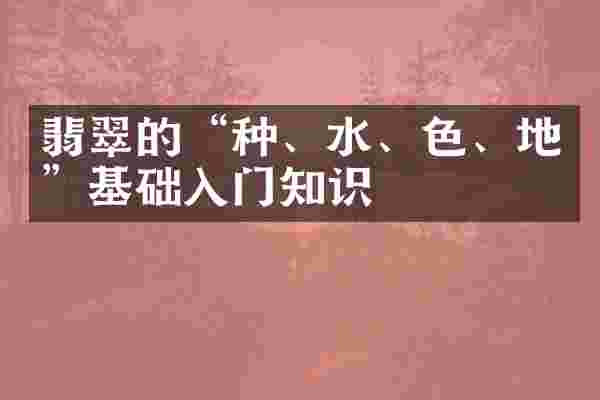 翡翠的&ldquo;种、水、色、地&rdquo;基础入门知识