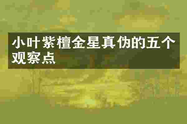 小叶紫檀金星真伪的五个观察点