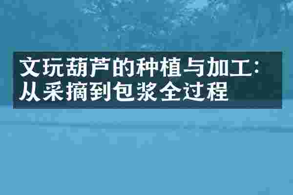 文玩葫芦的种植与加工：从采摘到包浆全过程