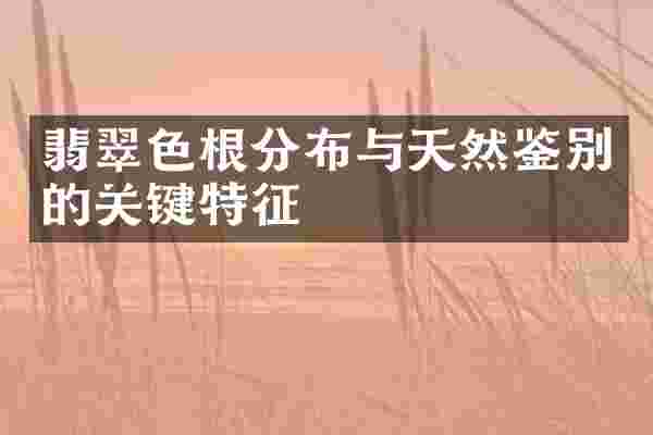 翡翠色根分布与天然鉴别的关键特征