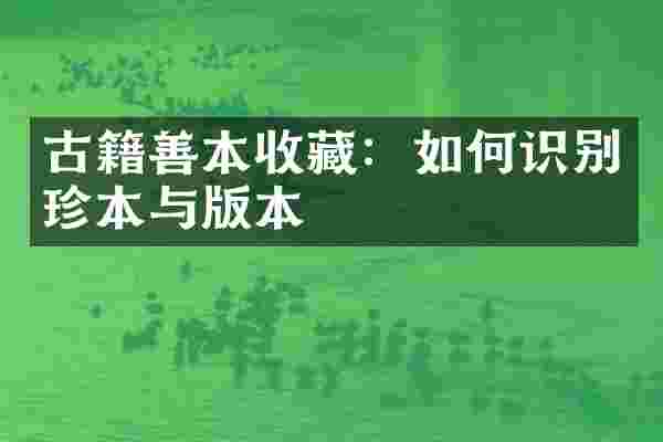 古籍善本收藏：如何识别珍本与版本
