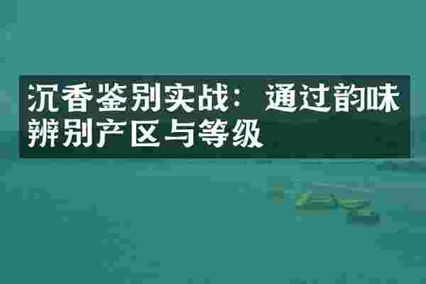 沉香鉴别实战：通过韵味辨别产区与等级