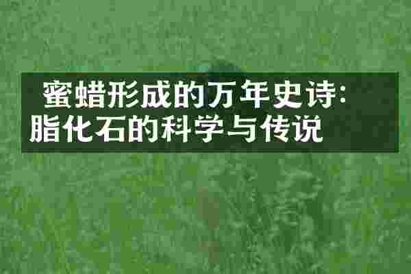  蜜蜡形成的万年史诗：树脂化石的科学与传说