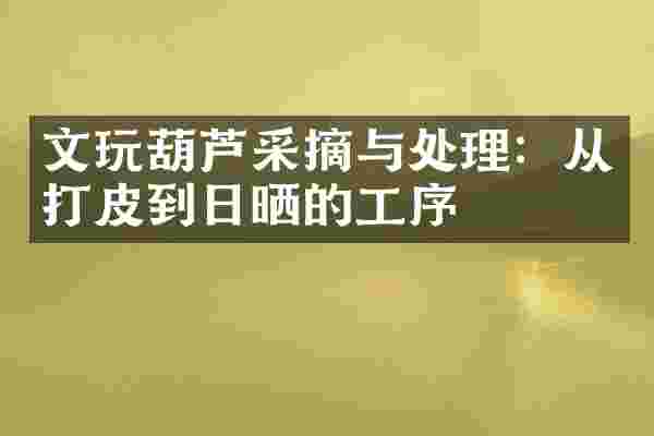 文玩葫芦采摘与处理：从打皮到日晒的工序