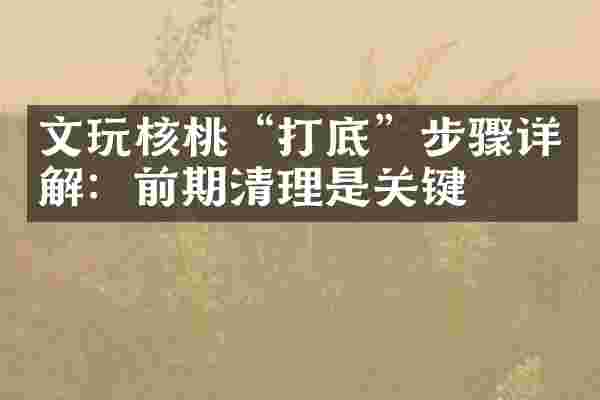 文玩核桃&ldquo;打底&rdquo;步骤详解：前期清理是关键