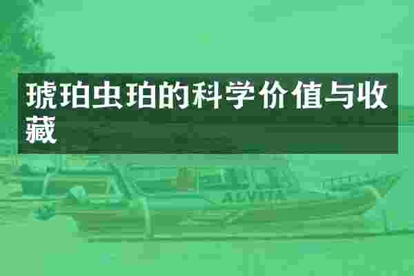 琥珀虫珀的科学价值与收藏