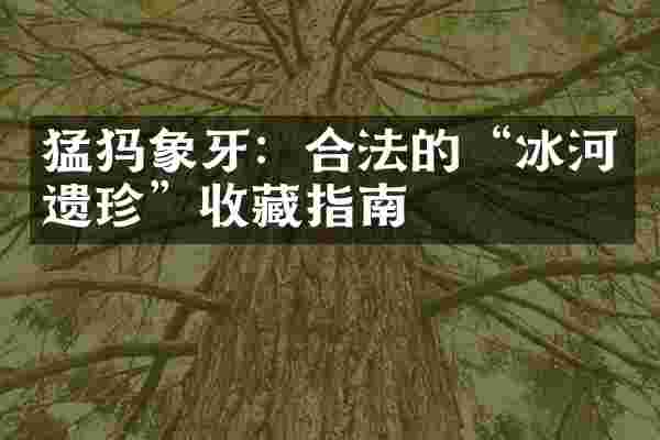 猛犸象牙：合法的&ldquo;冰河遗珍&rdquo;收藏指南