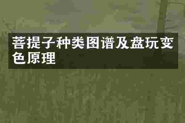 菩提子种类图谱及盘玩变色原理